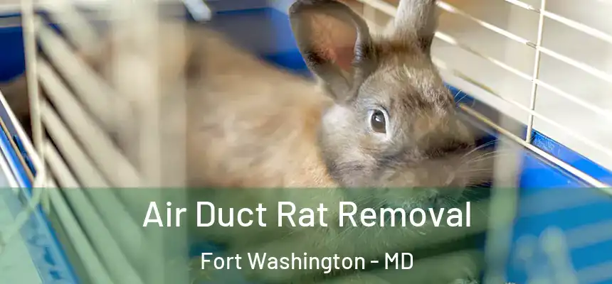  Air Duct Rat Removal Fort Washington - MD
