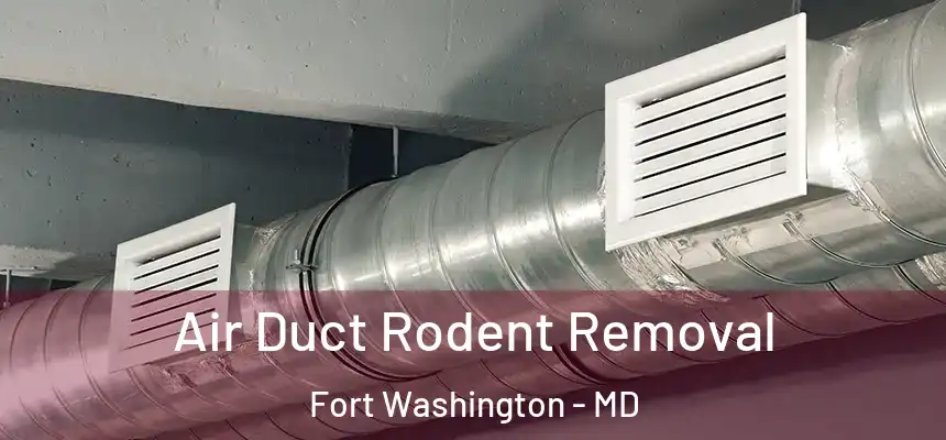 Air Duct Rodent Removal Fort Washington - MD