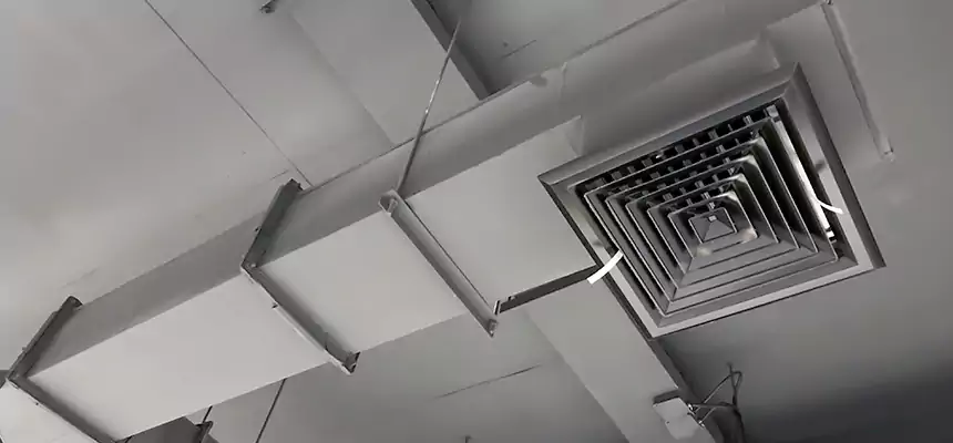 Our Rodent Droppings In Vents Services in Fort Washington, MD