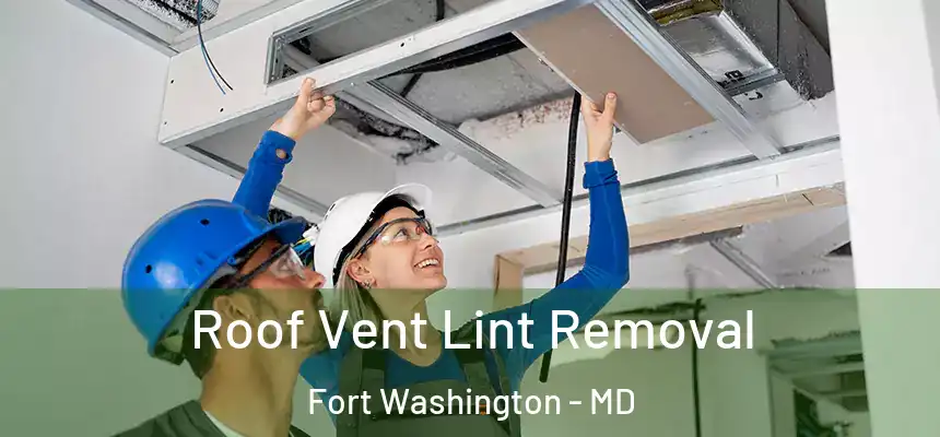 Roof Vent Lint Removal Fort Washington - MD