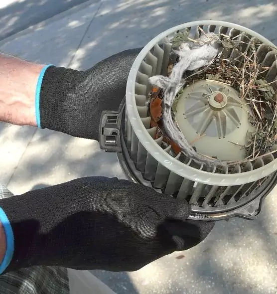 About Air Duct Mice Removal in Fort Washington, MD