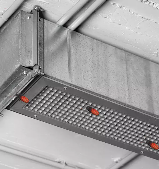 Affordable Insect Removal from Air Ducts in Fort Washington, MD