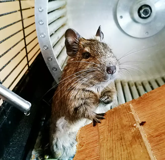 Why Homeowners & Businesses Trust Us Fort Washington, MD?